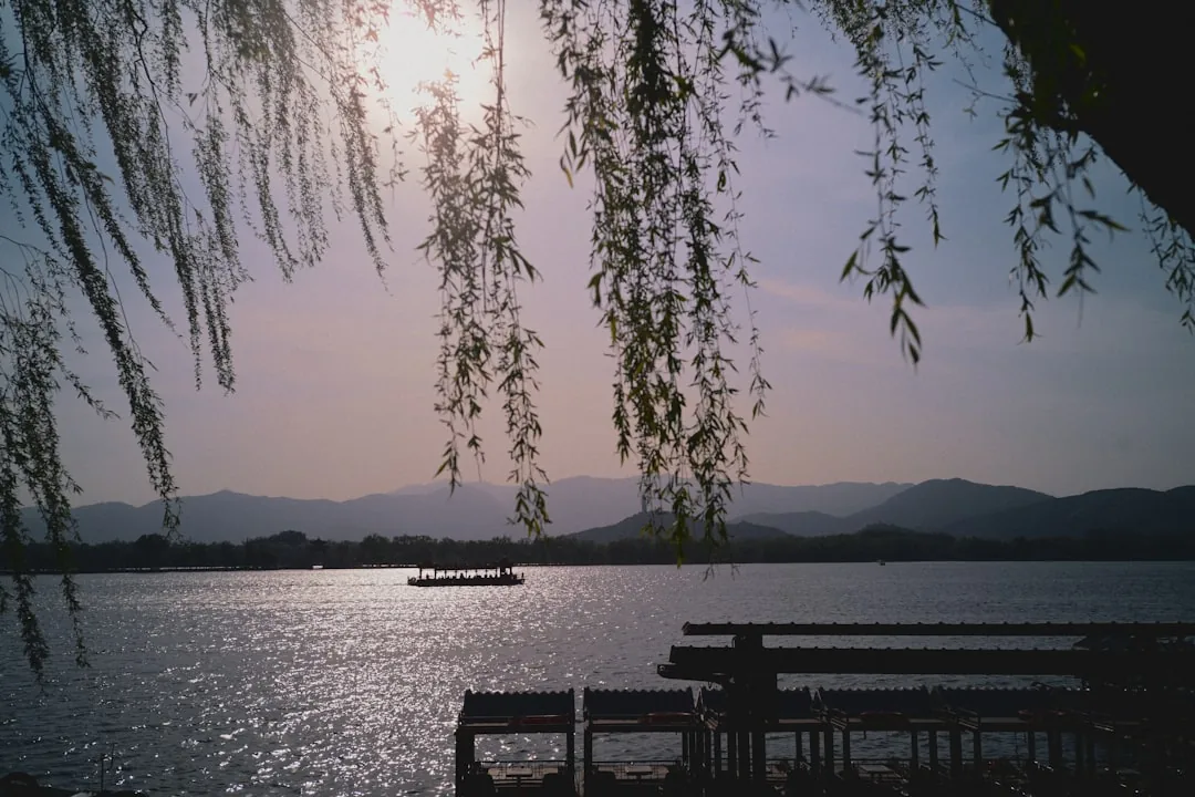 Willow branches frame Kunming Lake at the Summer Palace in Beijing at sunset.