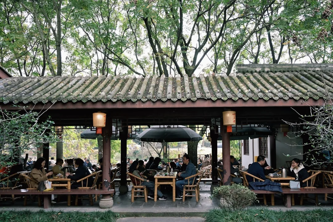 People's Park teahouse in Chengdu with locals sitting under trees and chatting over tea.