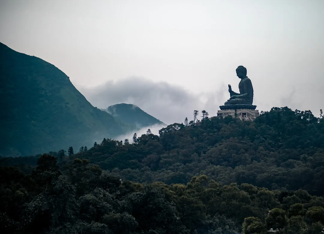 The Leshan Giant Buddha carved into the cliffside above the river.