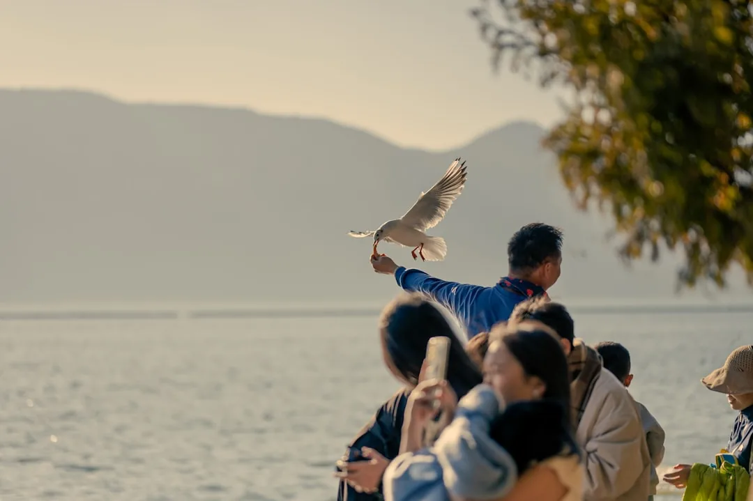 Dianchi Lake in Kunming with people standing by the water.